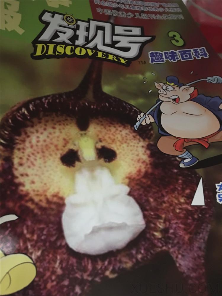 發(fā)現號