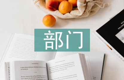 部門工作總結(jié)及計劃
