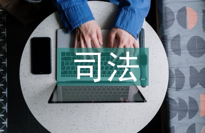 司法審查論文