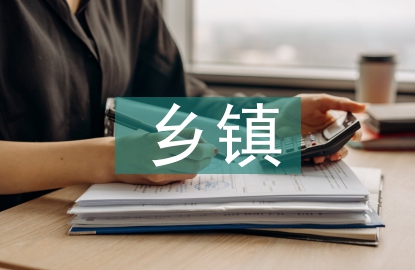 鄉(xiāng)鎮(zhèn)掛職干部工作總結(jié)