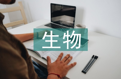 生物識(shí)別技術(shù)在計(jì)算機(jī)中的應(yīng)用