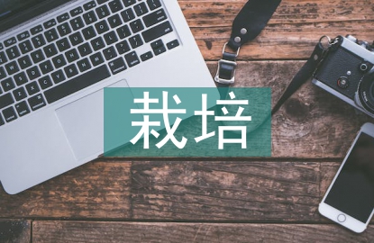 黃瓜栽培管理技術(shù)