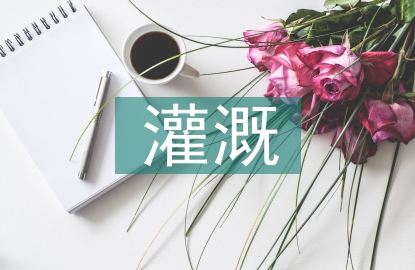 農(nóng)田水利灌溉設(shè)計(jì)與節(jié)水