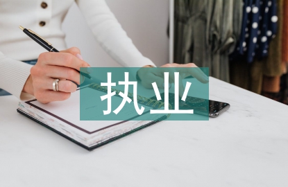 執(zhí)業(yè)審計工作總結
