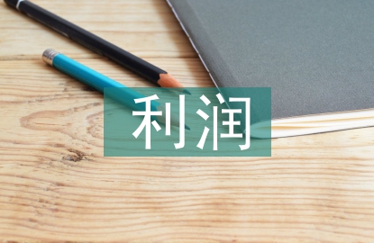 收入費(fèi)用利潤(rùn)實(shí)訓(xùn)總結(jié)