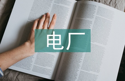 電廠電氣設(shè)備安全運行管理與養(yǎng)護