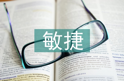 通用電氣公司敏捷開發(fā)管理研究