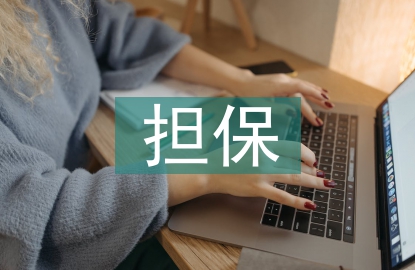 擔(dān)保申報(bào)材料