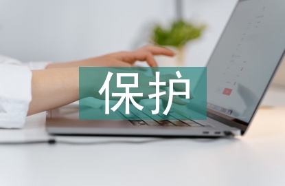 傳統(tǒng)文化保護論文