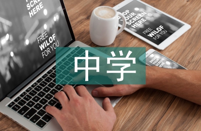 中學(xué)一對一教育
