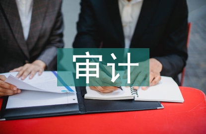 村級財務(wù)收支審計