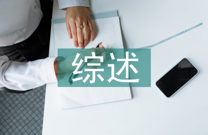 經(jīng)濟(jì)學(xué)文獻(xiàn)綜述