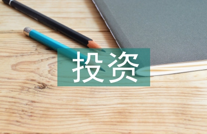 投資項(xiàng)目管理論文3篇
