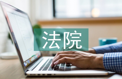 法院技術(shù)室工作總結(jié)