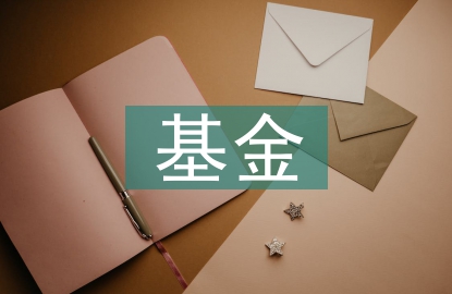基金管理機構(gòu)資金管理探討