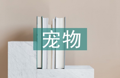 寵物前臺(tái)工作計(jì)劃
