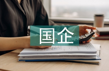 國企工作報(bào)告