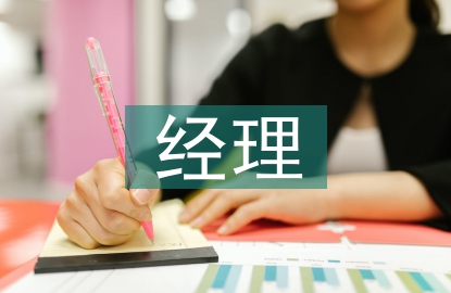 年度經(jīng)理總結(jié)