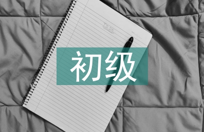 初級(jí)審計(jì)內(nèi)容