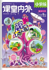 課堂內(nèi)外雜志