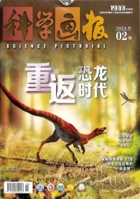 科學(xué)畫報雜志