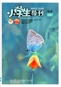 小學(xué)生導(dǎo)刊·中年級(jí)