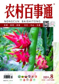 農(nóng)村百事通雜志