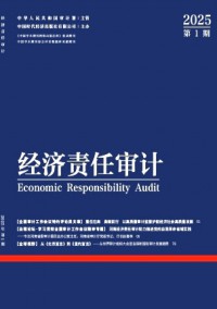 經(jīng)濟(jì)責(zé)任審計(jì)雜志